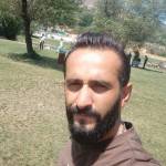 Bayram Memmedov Profile Picture