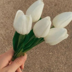 Könül Eminova Profile Picture