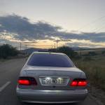 Karl Gasimov Profile Picture